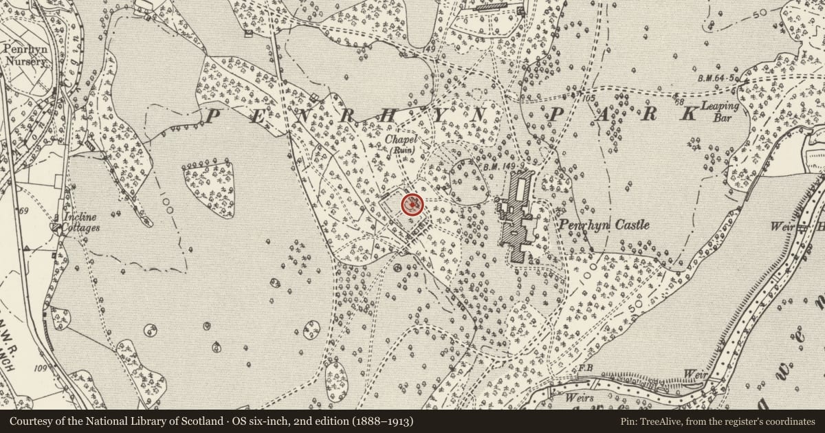 Ordnance Survey six-inch map, 2nd edition (1888–1913) covering the location of Walls and attached structures to terraced flower garden, Llandygai, Gwynedd, with a pin at the register's coordinates