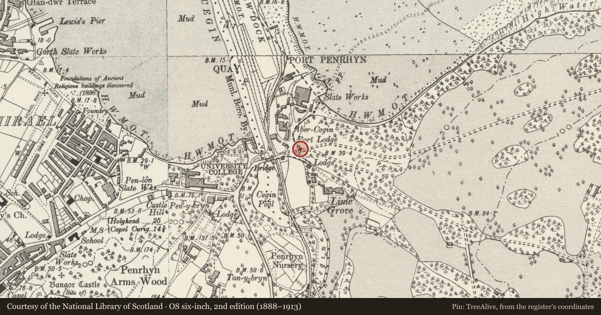 Ordnance Survey six-inch map, 2nd edition (1888–1913) covering the location of Port Lodge, Llandygai, Gwynedd, with a pin at the register's coordinates