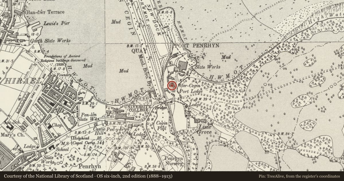Ordnance Survey six-inch map, 2nd edition (1888–1913) covering the location of The Cottage, Llandygai, Gwynedd, with a pin at the register's coordinates