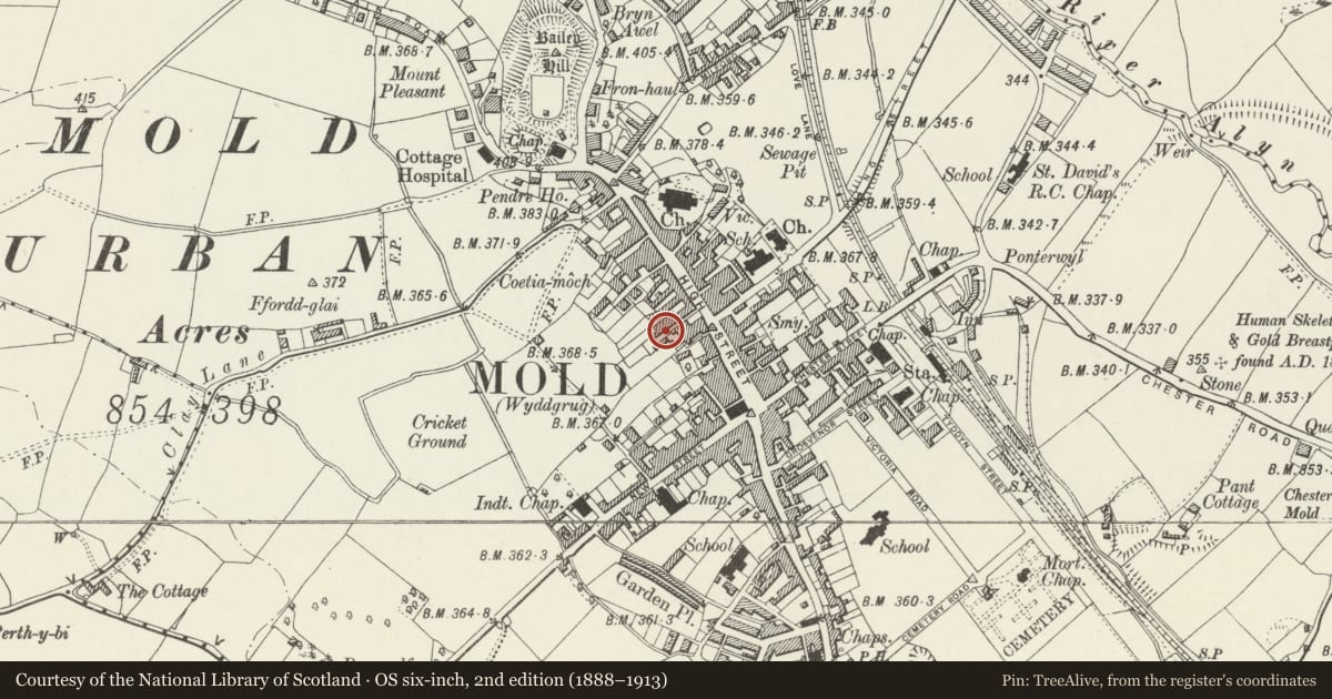 Ordnance Survey six-inch map, 2nd edition (1888–1913) covering the location of Earl Chambers (Chester Chronicle Building), Mold, Flintshire, with a pin at the register's coordinates