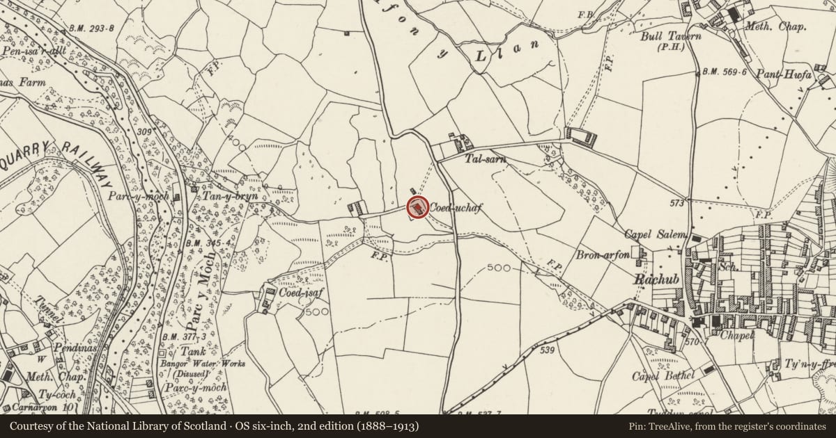 Ordnance Survey six-inch map, 2nd edition (1888–1913) covering the location of Coed-uchaf, Llanllechid, Gwynedd, with a pin at the register's coordinates