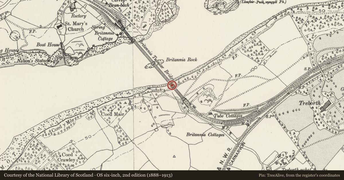 Ordnance Survey six-inch map, 2nd edition (1888–1913) covering the location of Britannia Tubular Bridge (part in Llanfairpwllgwyngyll Community), Pentir, Gwynedd, with a pin at the register's coordinates