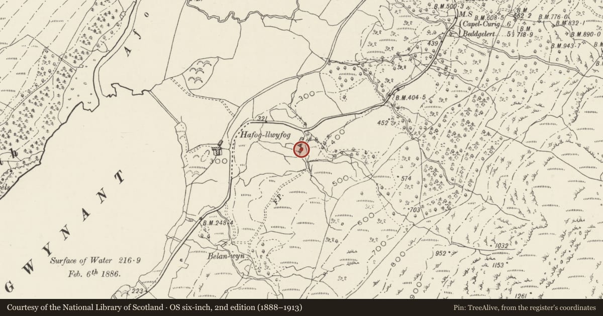 Ordnance Survey six-inch map, 2nd edition (1888–1913) covering the location of Hafod Lwyfog, Beddgelert, Gwynedd, with a pin at the register's coordinates