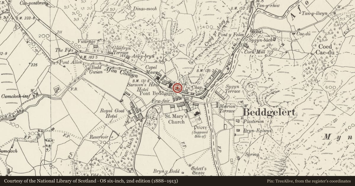 Ordnance Survey six-inch map, 2nd edition (1888–1913) covering the location of Plas Colwyn, Beddgelert, Gwynedd, with a pin at the register's coordinates