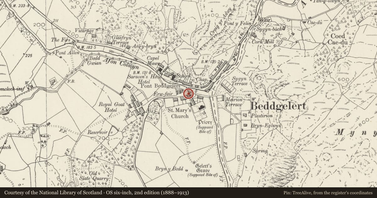 Ordnance Survey six-inch map, 2nd edition (1888–1913) covering the location of Llewelyn Cottage (also known as Ty Isaf), Beddgelert, Gwynedd, with a pin at the register's coordinates