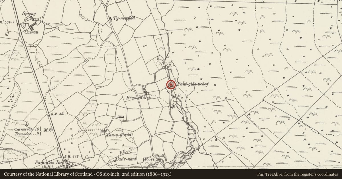 Ordnance Survey six-inch map, 2nd edition (1888–1913) covering the location of Pant-glas uchaf, Clynnog, Gwynedd, with a pin at the register's coordinates