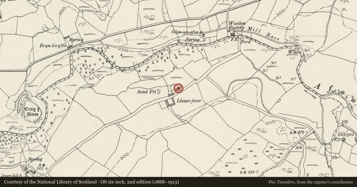 Ordnance Survey six-inch map, 2nd edition (1888–1913) covering the location of Lleuar-fawr, Clynnog, Gwynedd, with a pin at the register's coordinates