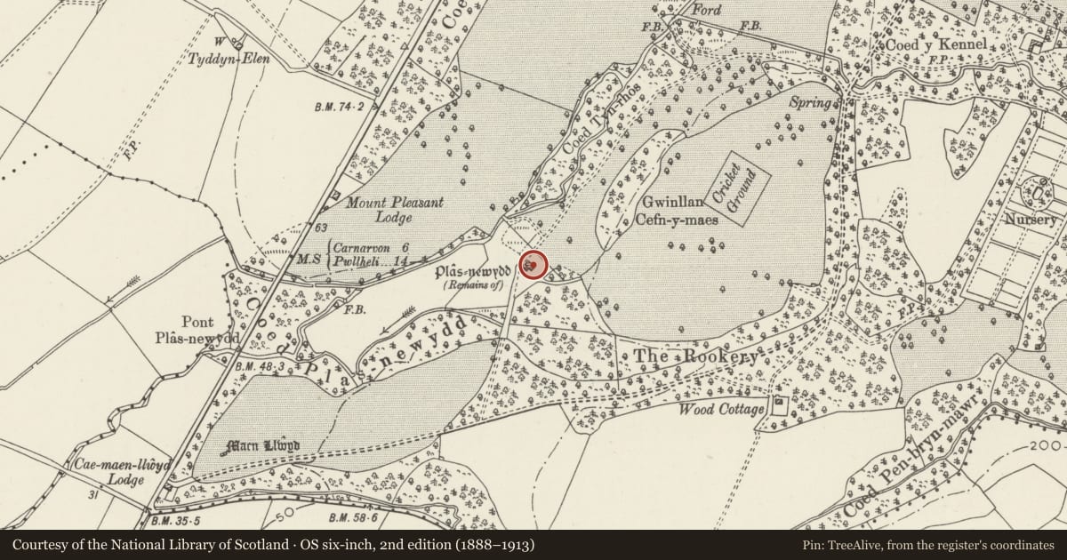 Ordnance Survey six-inch map, 2nd edition (1888–1913) covering the location of Plas Newydd, Llandwrog, Gwynedd, with a pin at the register's coordinates