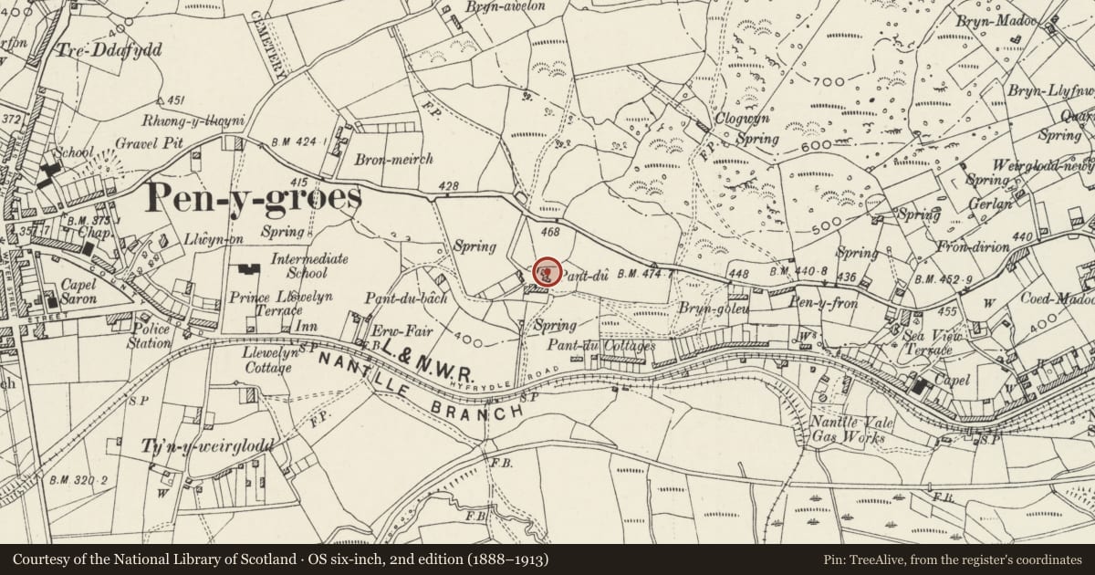 Ordnance Survey six-inch map, 2nd edition (1888–1913) covering the location of Pant Du, Llanllyfni, Gwynedd, with a pin at the register's coordinates