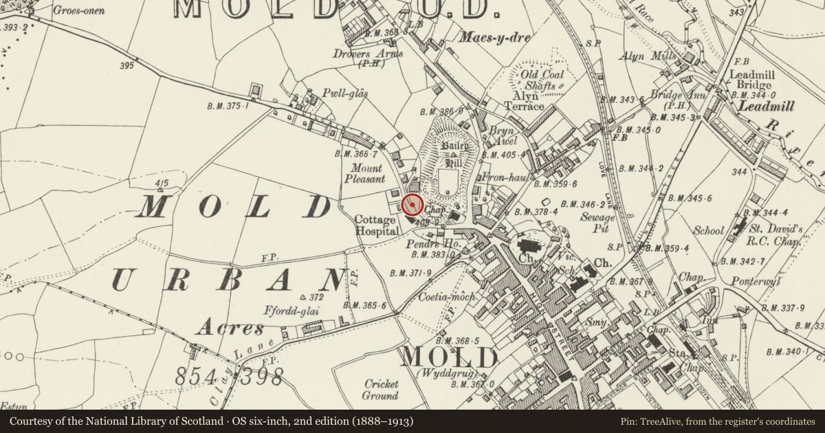Ordnance Survey six-inch map, 2nd edition (1888–1913) covering the location of Series of 10 Carved Stone Heads Set into a Garden Wall at Tan-Y-Coed, Mold, Flintshire, with a pin at the register's coordinates