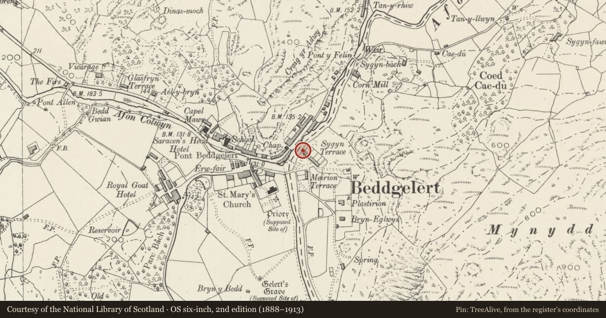 Ordnance Survey six-inch map, 2nd edition (1888–1913) covering the location of 1 Sygyn Terrace, Beddgelert, Gwynedd, with a pin at the register's coordinates