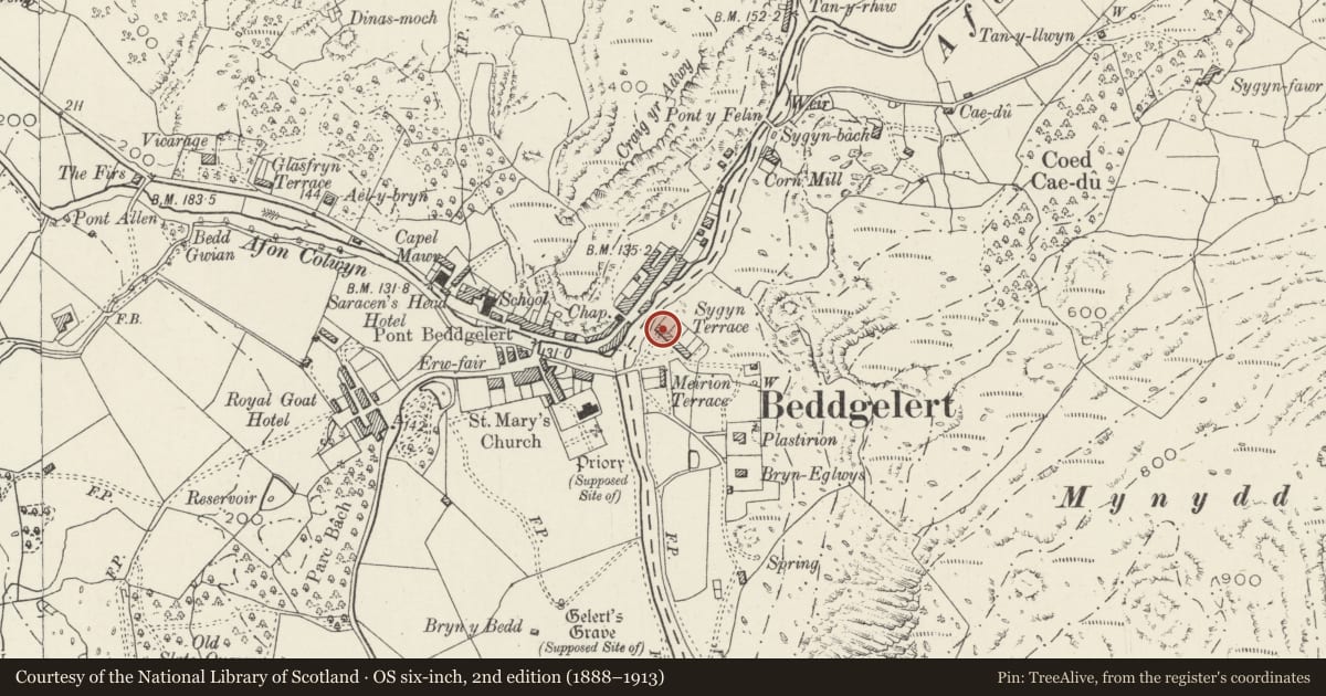 Ordnance Survey six-inch map, 2nd edition (1888–1913) covering the location of 3 Sygyn Terrace, Beddgelert, Gwynedd, with a pin at the register's coordinates
