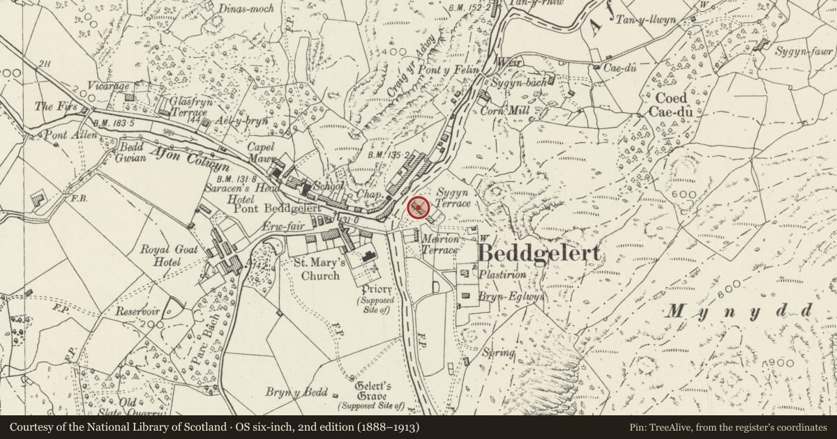 Ordnance Survey six-inch map, 2nd edition (1888–1913) covering the location of 4 Sygyn Terrace, Beddgelert, Gwynedd, with a pin at the register's coordinates