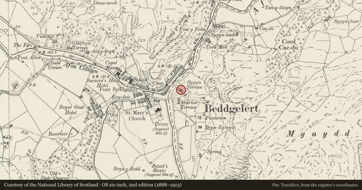 Ordnance Survey six-inch map, 2nd edition (1888–1913) covering the location of 5 Sygyn Terrace, Beddgelert, Gwynedd, with a pin at the register's coordinates