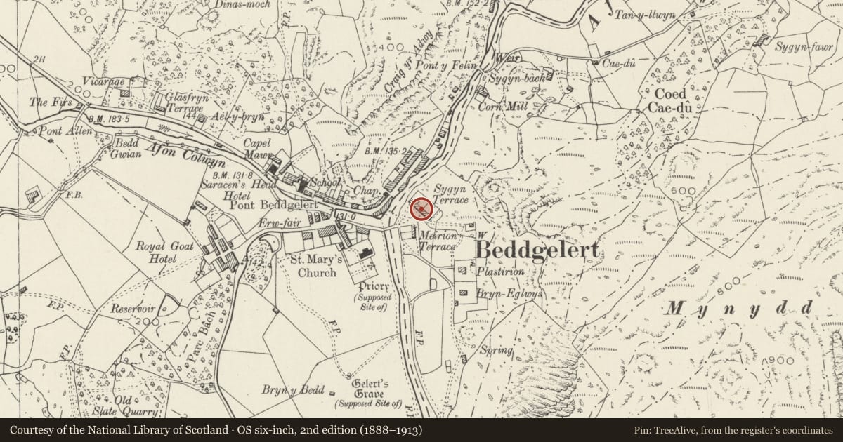 Ordnance Survey six-inch map, 2nd edition (1888–1913) covering the location of 6 Sygyn Terrace, Beddgelert, Gwynedd, with a pin at the register's coordinates