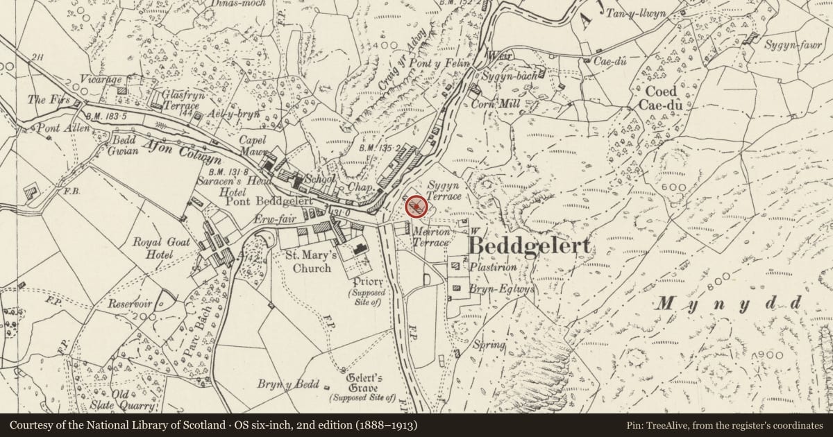 Ordnance Survey six-inch map, 2nd edition (1888–1913) covering the location of 7 Sygyn Terrace, Beddgelert, Gwynedd, with a pin at the register's coordinates