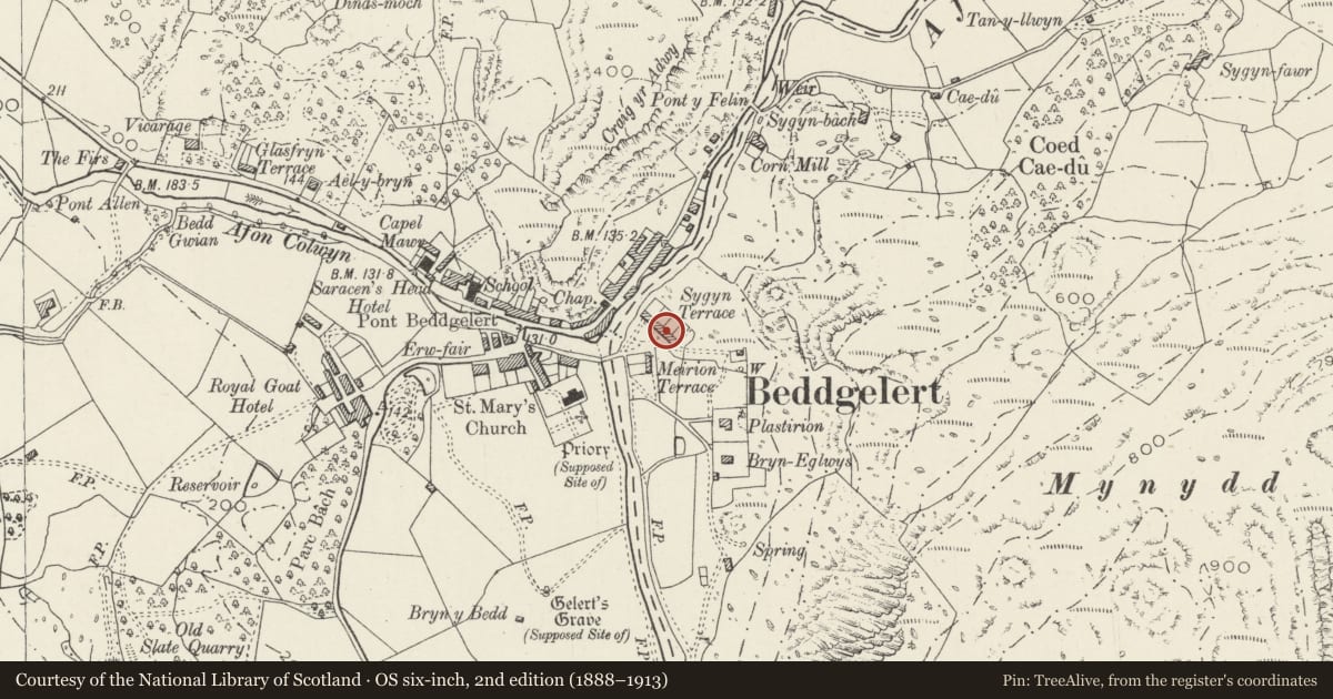 Ordnance Survey six-inch map, 2nd edition (1888–1913) covering the location of 8 Sygyn Terrace, Beddgelert, Gwynedd, with a pin at the register's coordinates