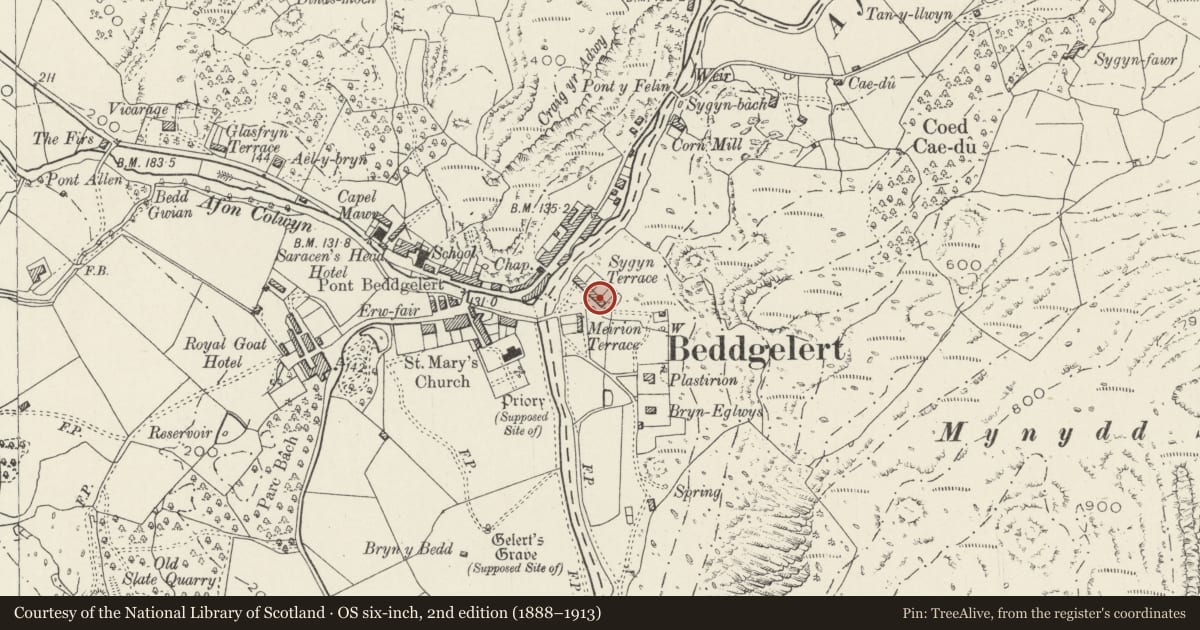 Ordnance Survey six-inch map, 2nd edition (1888–1913) covering the location of 9 Sygyn Terrace, Beddgelert, Gwynedd, with a pin at the register's coordinates
