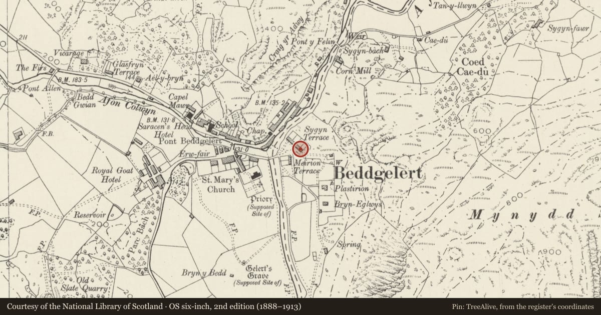 Ordnance Survey six-inch map, 2nd edition (1888–1913) covering the location of 10 Sygyn Terrace, Beddgelert, Gwynedd, with a pin at the register's coordinates