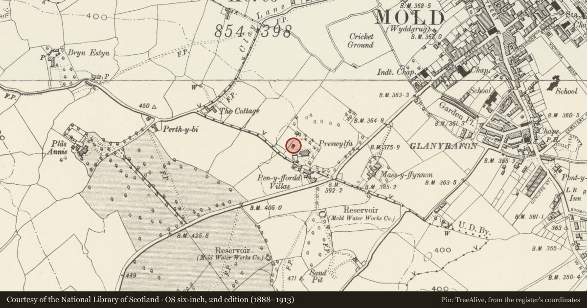 Ordnance Survey six-inch map, 2nd edition (1888–1913) covering the location of Preswylfa, Mold, Flintshire, with a pin at the register's coordinates