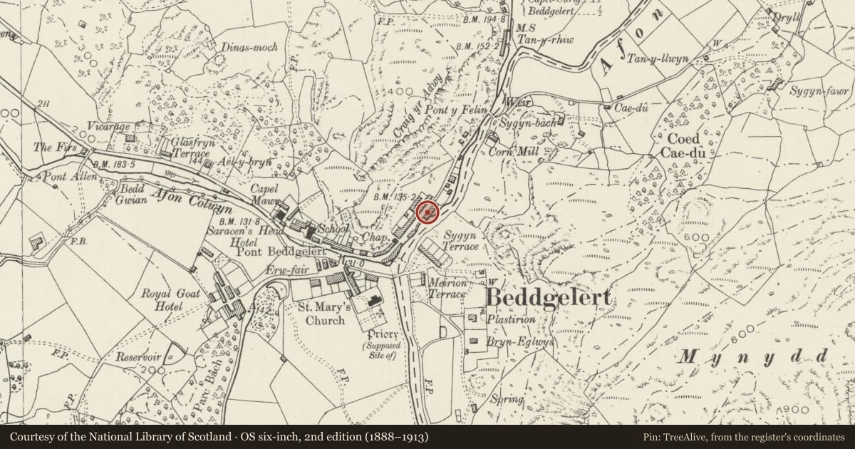 Ordnance Survey six-inch map, 2nd edition (1888–1913) covering the location of Ivy House, Beddgelert, Gwynedd, with a pin at the register's coordinates