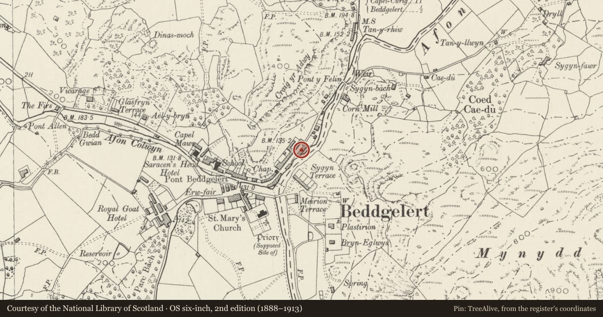 Ordnance Survey six-inch map, 2nd edition (1888–1913) covering the location of Ger-y-Lli, Beddgelert, Gwynedd, with a pin at the register's coordinates