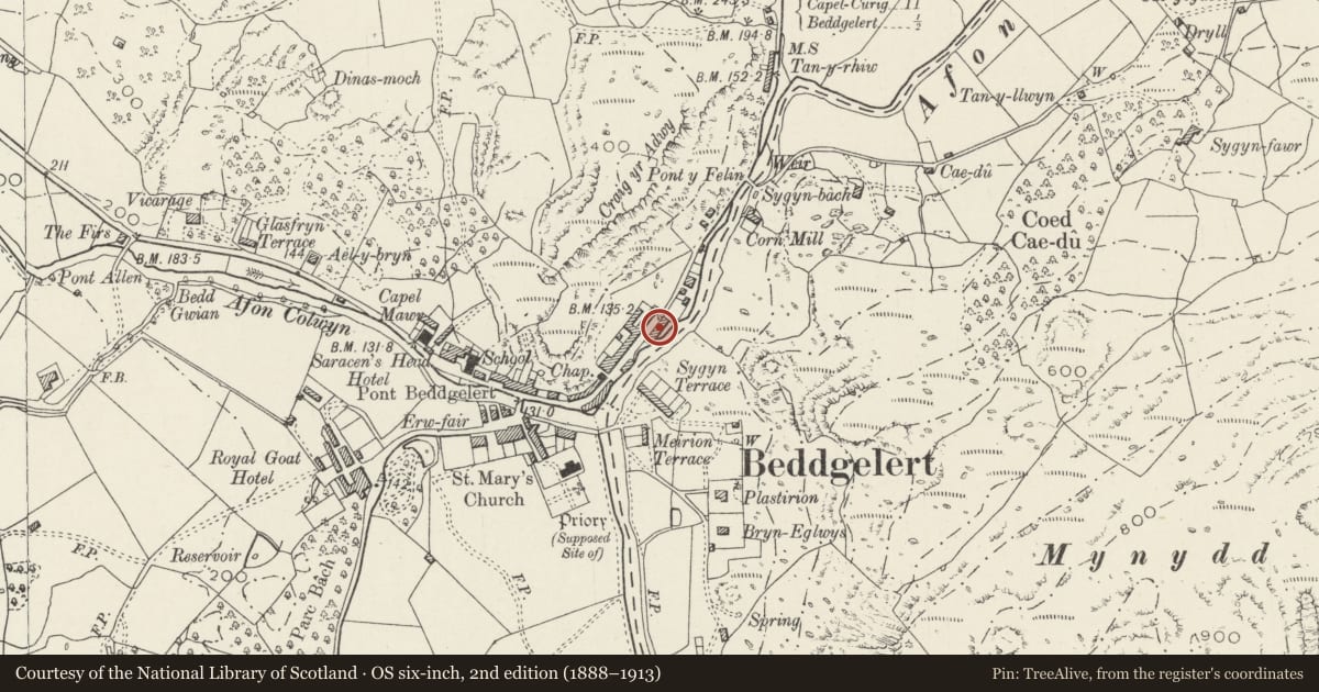 Ordnance Survey six-inch map, 2nd edition (1888–1913) covering the location of 4 Club Street, Beddgelert, Gwynedd, with a pin at the register's coordinates
