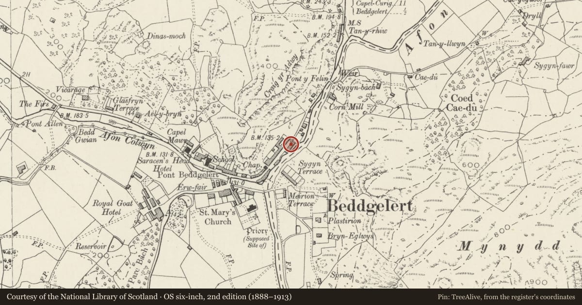 Ordnance Survey six-inch map, 2nd edition (1888–1913) covering the location of Gwynant House, Beddgelert, Gwynedd, with a pin at the register's coordinates