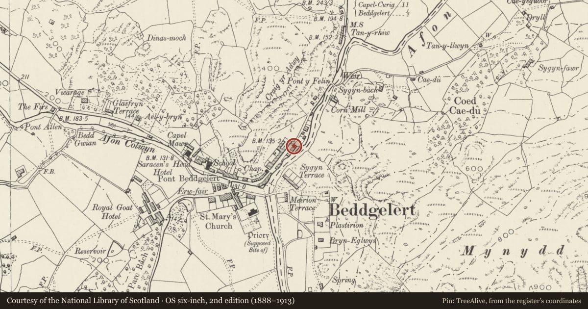 Ordnance Survey six-inch map, 2nd edition (1888–1913) covering the location of Si-yr-Afon, Beddgelert, Gwynedd, with a pin at the register's coordinates