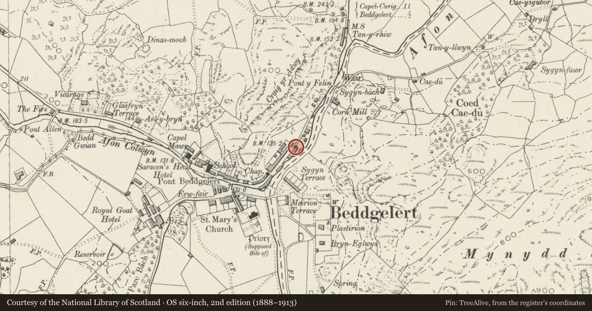 Ordnance Survey six-inch map, 2nd edition (1888–1913) covering the location of Isfryn, Beddgelert, Gwynedd, with a pin at the register's coordinates