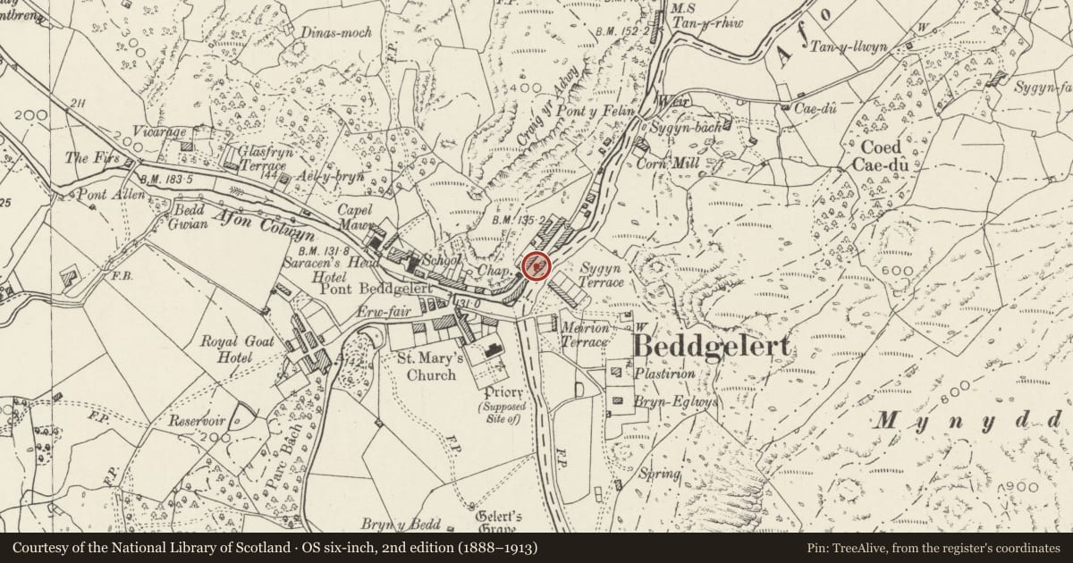 Ordnance Survey six-inch map, 2nd edition (1888–1913) covering the location of Talafon, Beddgelert, Gwynedd, with a pin at the register's coordinates