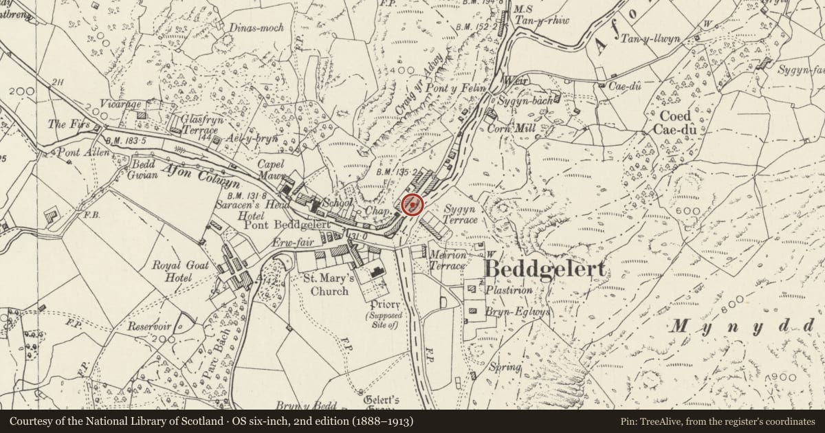 Ordnance Survey six-inch map, 2nd edition (1888–1913) covering the location of Meirionfa, Beddgelert, Gwynedd, with a pin at the register's coordinates