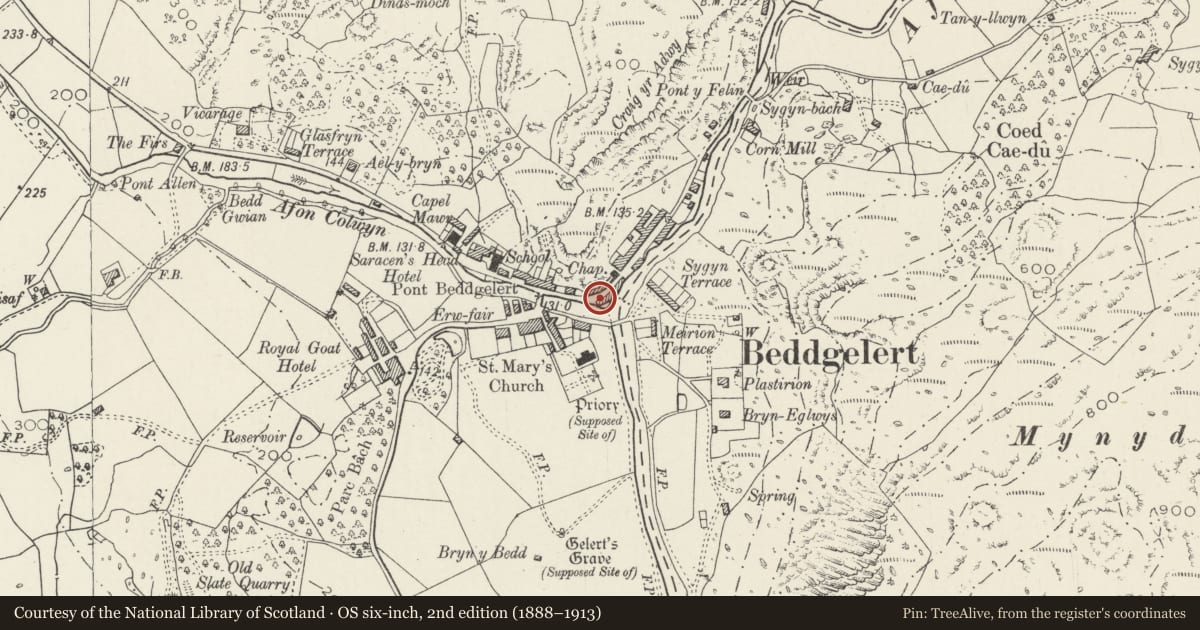 Ordnance Survey six-inch map, 2nd edition (1888–1913) covering the location of Tegfan, Beddgelert, Gwynedd, with a pin at the register's coordinates
