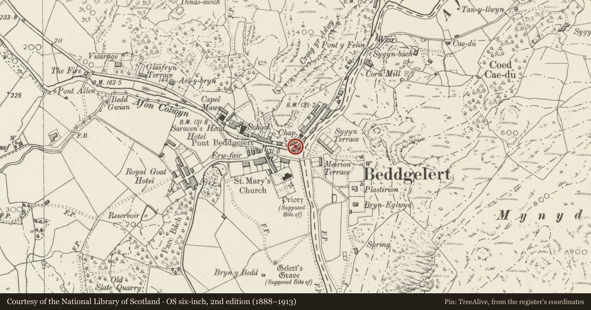 Ordnance Survey six-inch map, 2nd edition (1888–1913) covering the location of Clydfan, Beddgelert, Gwynedd, with a pin at the register's coordinates