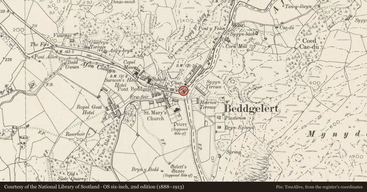 Ordnance Survey six-inch map, 2nd edition (1888–1913) covering the location of Three Rivers, Beddgelert, Gwynedd, with a pin at the register's coordinates