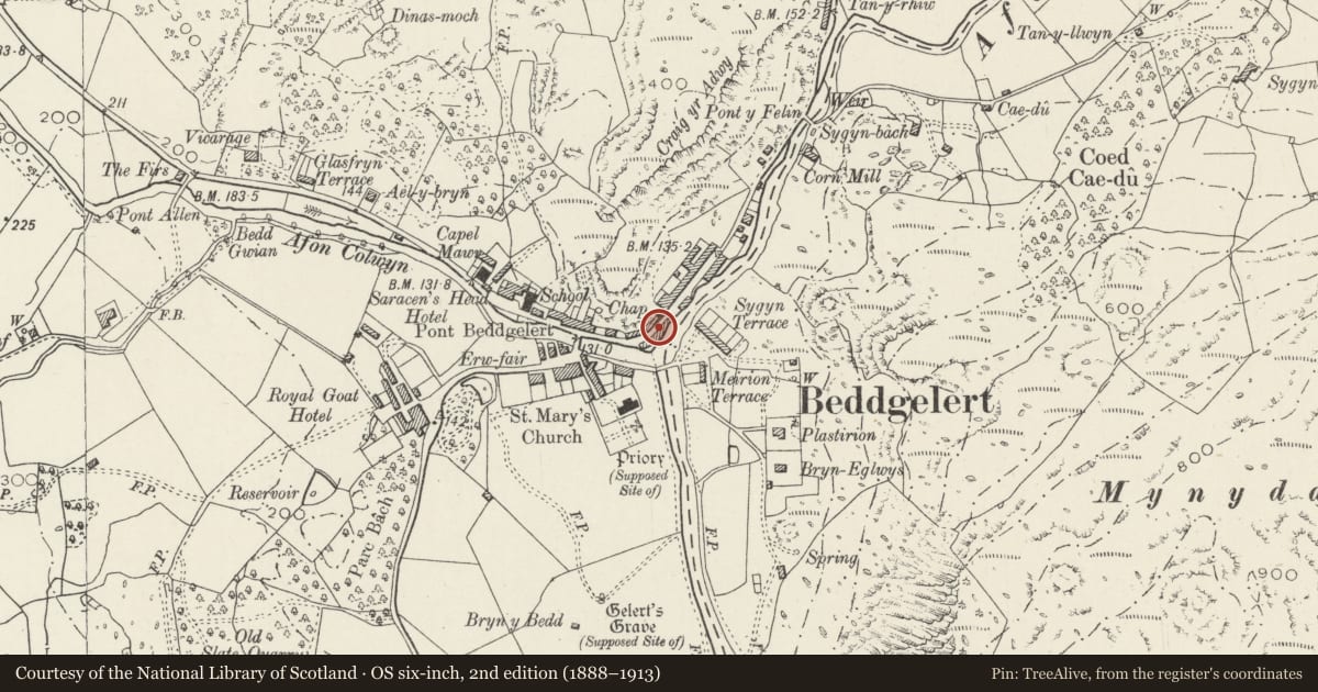 Ordnance Survey six-inch map, 2nd edition (1888–1913) covering the location of Pensarn, Beddgelert, Gwynedd, with a pin at the register's coordinates