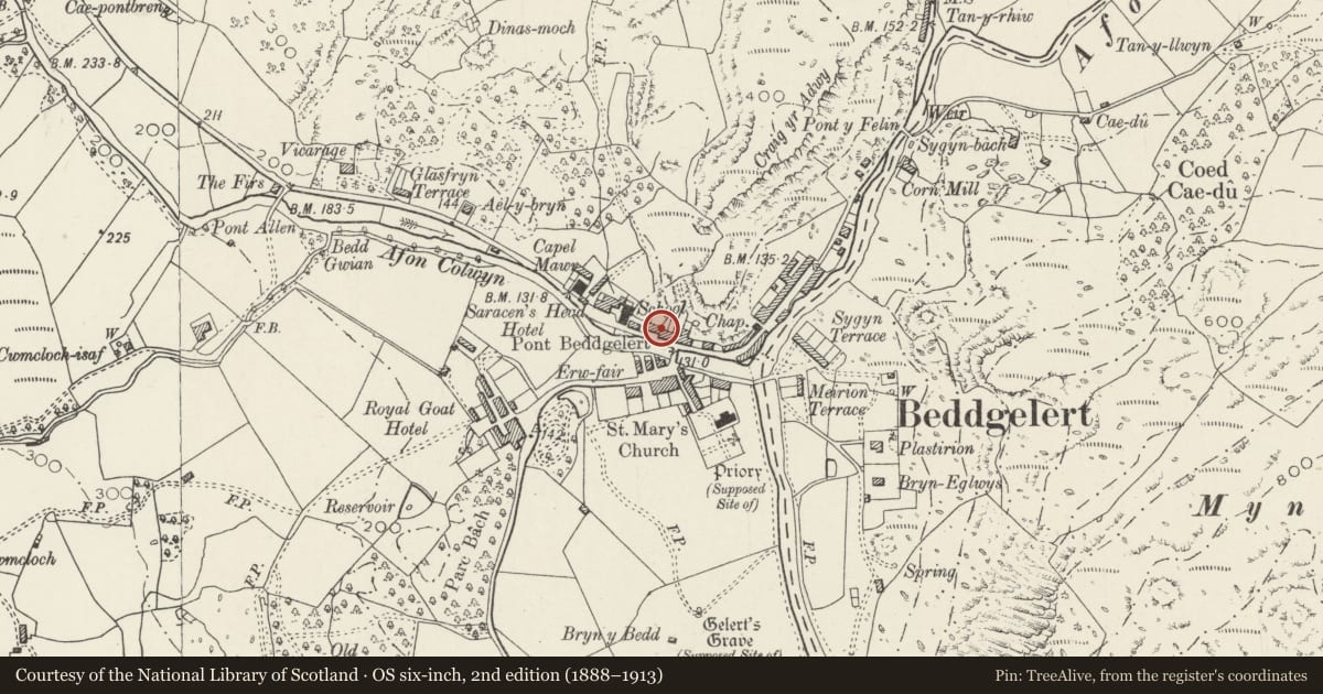 Ordnance Survey six-inch map, 2nd edition (1888–1913) covering the location of Plas Gwyn, Beddgelert, Gwynedd, with a pin at the register's coordinates