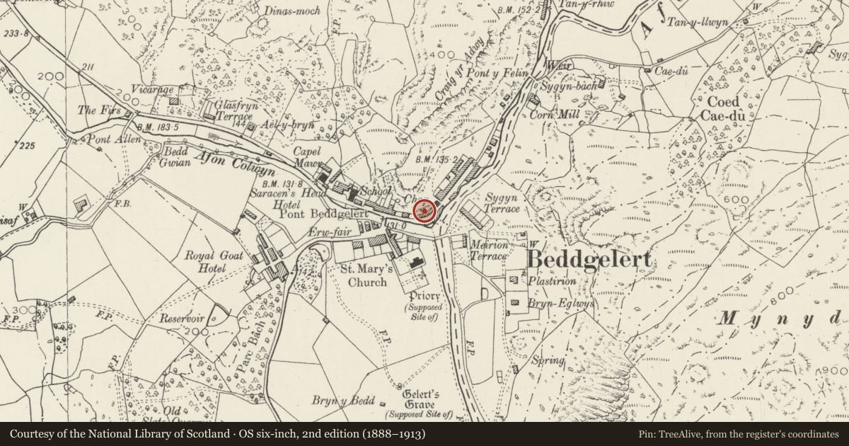 Ordnance Survey six-inch map, 2nd edition (1888–1913) covering the location of Renig, Beddgelert, Gwynedd, with a pin at the register's coordinates