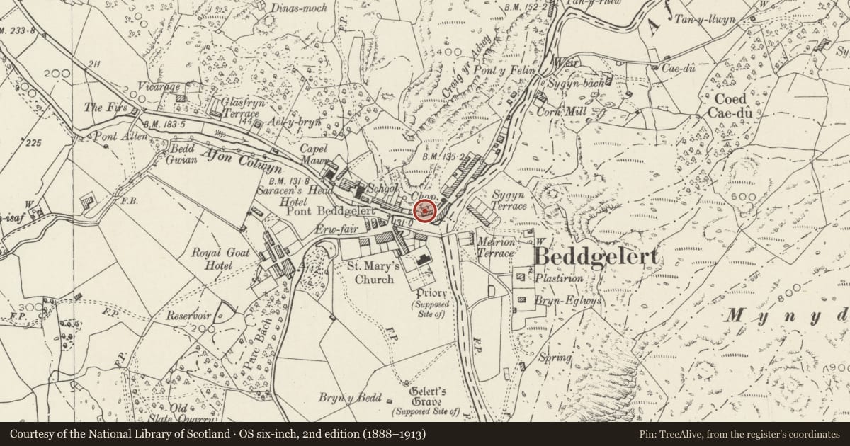 Ordnance Survey six-inch map, 2nd edition (1888–1913) covering the location of Frondeg, Beddgelert, Gwynedd, with a pin at the register's coordinates