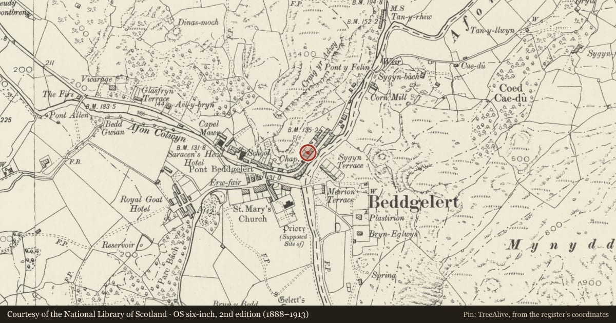 Ordnance Survey six-inch map, 2nd edition (1888–1913) covering the location of Glwyndwr, Beddgelert, Gwynedd, with a pin at the register's coordinates