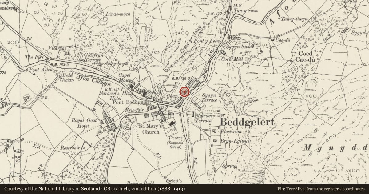 Ordnance Survey six-inch map, 2nd edition (1888–1913) covering the location of Henfro, Beddgelert, Gwynedd, with a pin at the register's coordinates