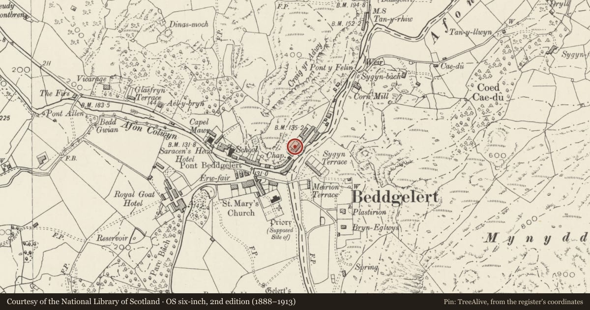 Ordnance Survey six-inch map, 2nd edition (1888–1913) covering the location of Hebog, Beddgelert, Gwynedd, with a pin at the register's coordinates