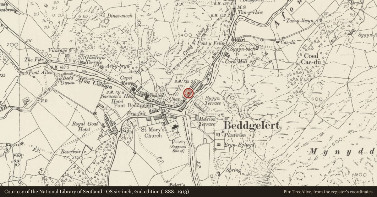 Ordnance Survey six-inch map, 2nd edition (1888–1913) covering the location of 7 Gwynant Street, Beddgelert, Gwynedd, with a pin at the register's coordinates