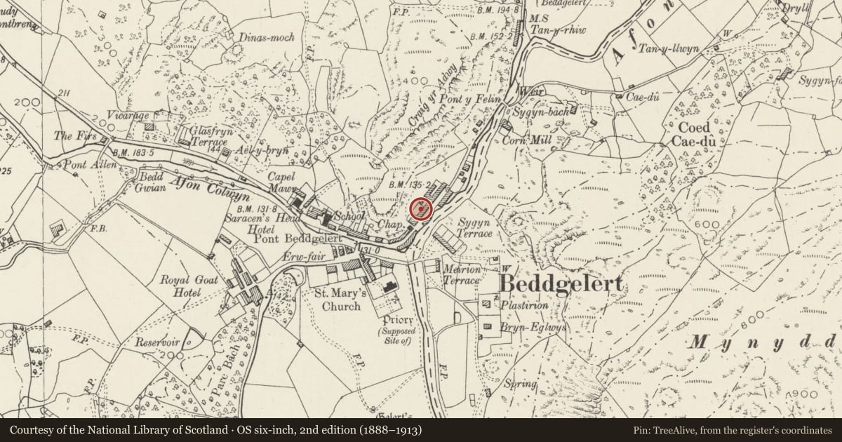 Ordnance Survey six-inch map, 2nd edition (1888–1913) covering the location of Llys Trefor, Beddgelert, Gwynedd, with a pin at the register's coordinates