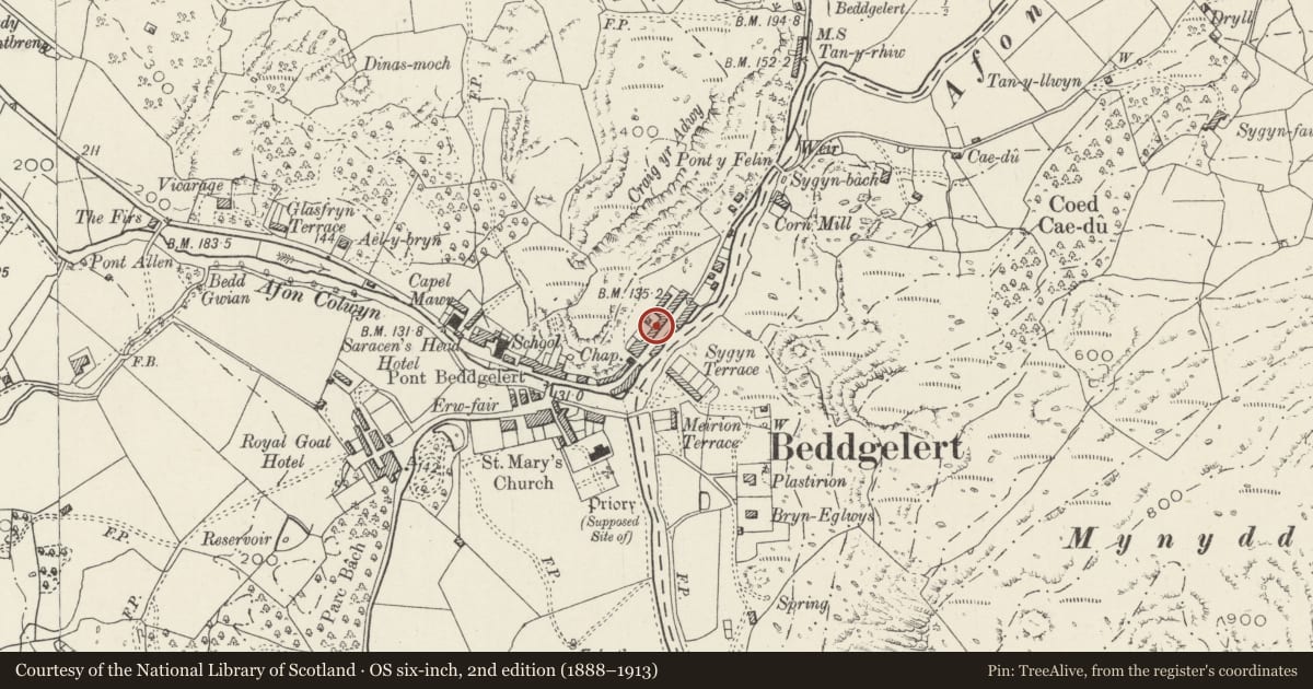 Ordnance Survey six-inch map, 2nd edition (1888–1913) covering the location of Llys Emrys, Beddgelert, Gwynedd, with a pin at the register's coordinates