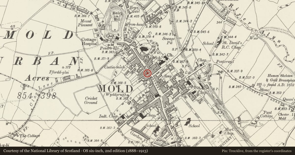 Ordnance Survey six-inch map, 2nd edition (1888–1913) covering the location of Thomsons Wines & Spirts, Mold, Flintshire, with a pin at the register's coordinates
