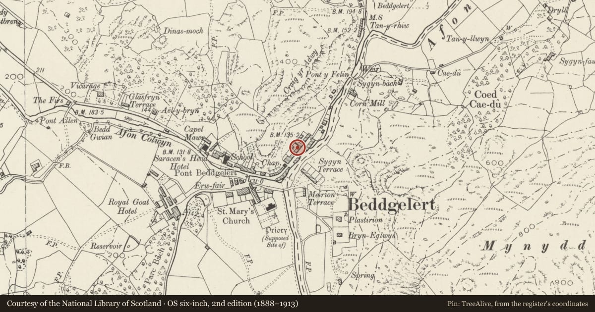 Ordnance Survey six-inch map, 2nd edition (1888–1913) covering the location of 11 Gwynant Street, Beddgelert, Gwynedd, with a pin at the register's coordinates