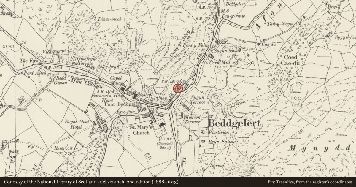 Ordnance Survey six-inch map, 2nd edition (1888–1913) covering the location of 12 Gwynant Street, Beddgelert, Gwynedd, with a pin at the register's coordinates
