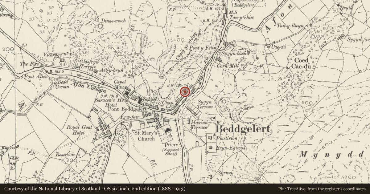Ordnance Survey six-inch map, 2nd edition (1888–1913) covering the location of Arosfa, Beddgelert, Gwynedd, with a pin at the register's coordinates
