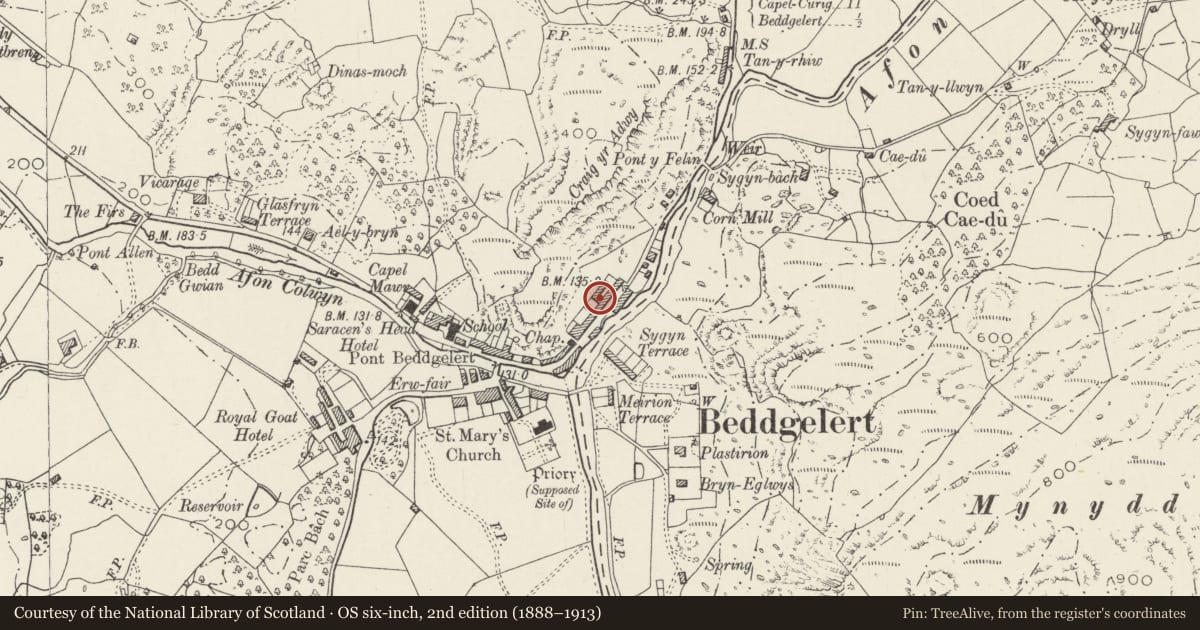 Ordnance Survey six-inch map, 2nd edition (1888–1913) covering the location of Hafan, Beddgelert, Gwynedd, with a pin at the register's coordinates